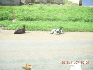 Uganda - Fort Portal run