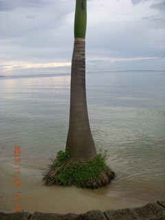 101 8f7. Uganda - Entebbe - Protea Hotel - Lake Victoria