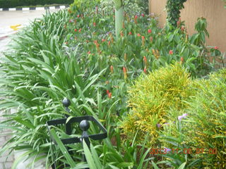 Uganda - Entebbe - Protea Hotel - rainy morning