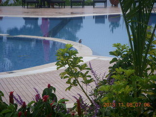 Uganda - Entebbe - Protea Hotel - rainy morning