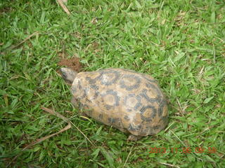 Uganda - Entebbe - Uganda Wildlife Education Center (UWEC) building