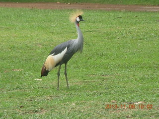 Uganda - Entebbe - Uganda Wildlife Education Center (UWEC) sign