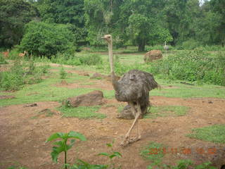 Uganda - Entebbe - Uganda Wildlife Education Center (UWEC) sign