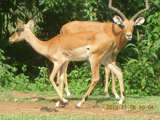 Uganda - Entebbe - Uganda Wildlife Education Center (UWEC) signs