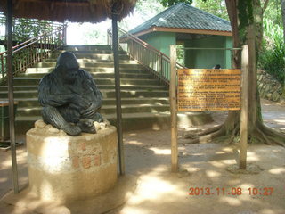 Uganda - Entebbe - Uganda Wildlife Education Center (UWEC) - sign and gorilla sculpture