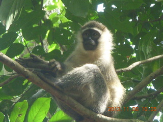 Uganda - Entebbe - Uganda Wildlife Education Center (UWEC) signs