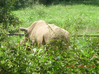 Uganda - Entebbe - Uganda Wildlife Education Center (UWEC) - monkey