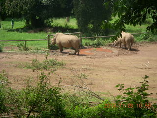 Uganda - Entebbe - Uganda Wildlife Education Center (UWEC)