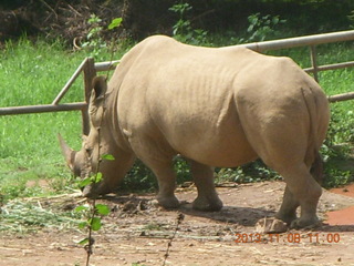 Uganda - Entebbe - Uganda Wildlife Education Center (UWEC) - our guide along trail