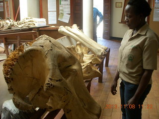 Uganda - Entebbe - Uganda Wildlife Education Center (UWEC) - skull and bones