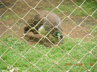 Uganda - Entebbe - Uganda Wildlife Education Center (UWEC) sign