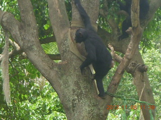 Uganda - Entebbe - Uganda Wildlife Education Center (UWEC) sign