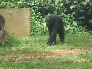 Uganda - Entebbe - Uganda Wildlife Education Center (UWEC) direction signs