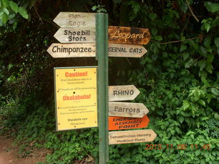 Uganda - Entebbe - Uganda Wildlife Education Center (UWEC) - chimpanzees