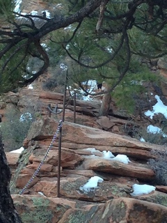 2157 8gt. Zion National Park - Angels Landing hike - descending - Adam