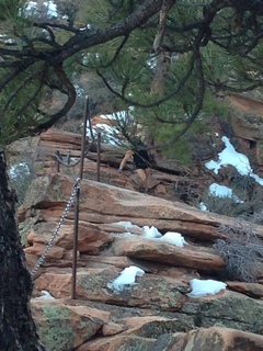 2162 8gt. Zion National Park - Angels Landing hike - descending - Adam