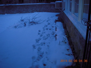 523 8j8. snow with downed wires at Betsy's place