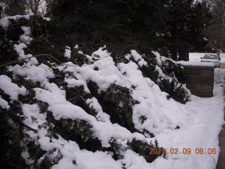 529 8j9. snow in walkway with downed tree Betsy's house