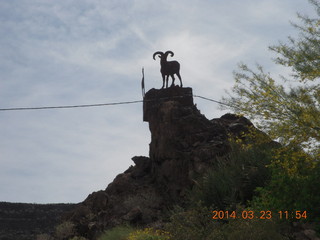 Desert Bar near Parker - metal sheep