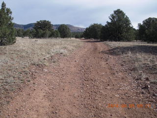 Young International (Pleasant Valley 24AZ) run