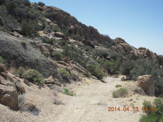 Bagdad hike (my old running loop) - flowers