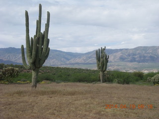 Bouquet Ranch