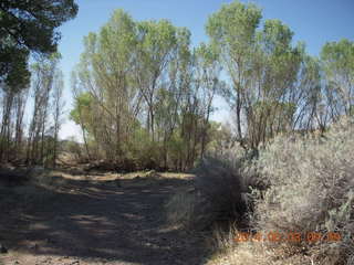 Double Circle Ranch run