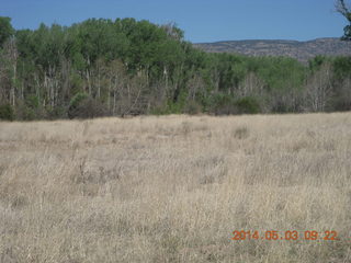 Double Circle Ranch run