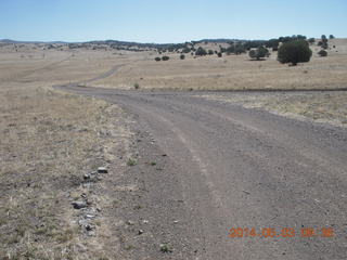 Double Circle Ranch run