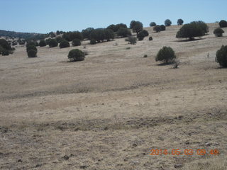 Double Circle Ranch run