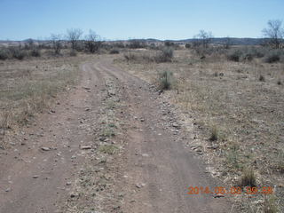 Double Circle Ranch run