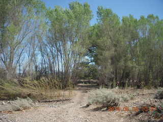 Double Circle Ranch run - dry creekbed