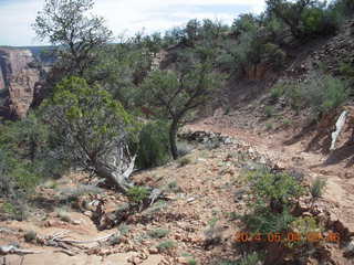 Canyon de Chelly - Spider Rock hike