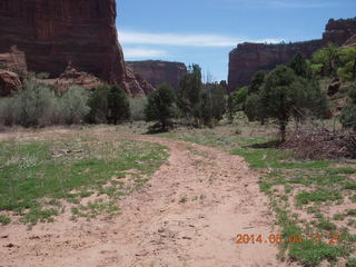 Canyon de Chelly - Spider Rock hike