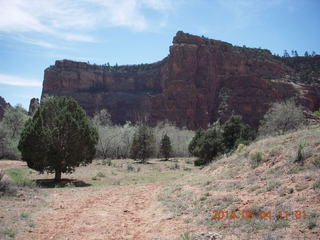 Canyon de Chelly - Spider Rock hike - petroglyphs