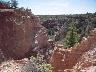 Canyon de Chelly - Spider Rock hike