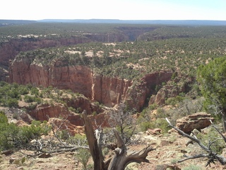 Canyon de Chelly - Spider Rock viewpoint - Adam and Neil K