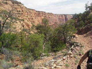 Canyon de Chelly - Spider Rock viewpoint - Adam