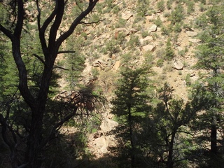 Canyon de Chelly - Spider Rock viewpoint