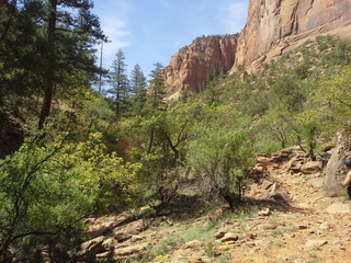 Canyon de Chelly - Spider Rock hike
