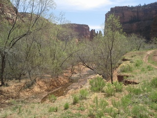 Canyon de Chelly - Spider Rock hike