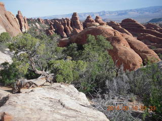 34 8mg. Arches National Park - Devil's Garden hike