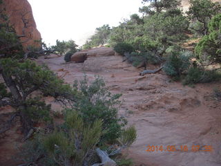 37 8mg. Arches National Park - Devil's Garden hike