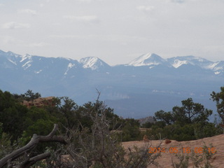 59 8mg. Arches National Park - Devil's Garden hike - LaSalle Mountains