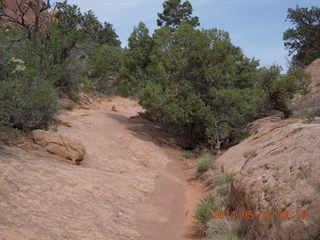 91 8mg. Arches National Park - Devil's Garden hike