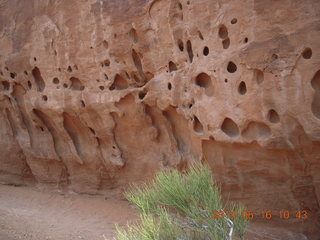 113 8mg. Arches National Park - Devil's Garden hike