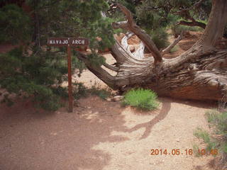 118 8mg. Arches National Park - Devil's Garden hike - Navajo Arch sign