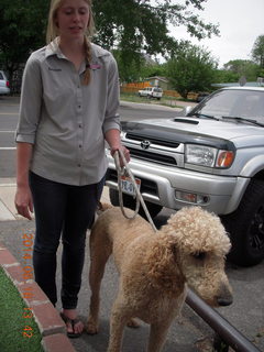 160 8mg. Moab - Milt's Stop & Eat - Britney and cool poodle