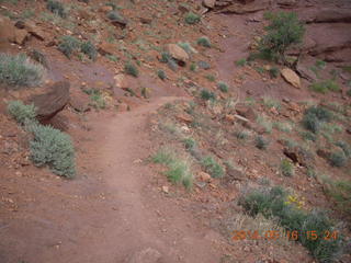 209 8mg. Fisher Tower hike