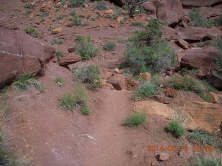 293 8mg. Fisher Tower hike